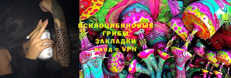 Псилоцибиновые грибы Cubensis  Лянтор 